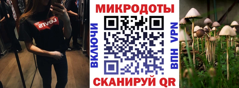Псилоцибиновые грибы Cubensis Палласовка