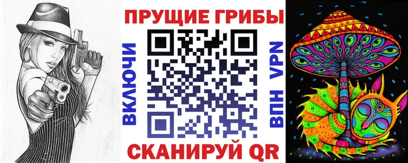 Галлюциногенные грибы Psilocybine cubensis Палласовка